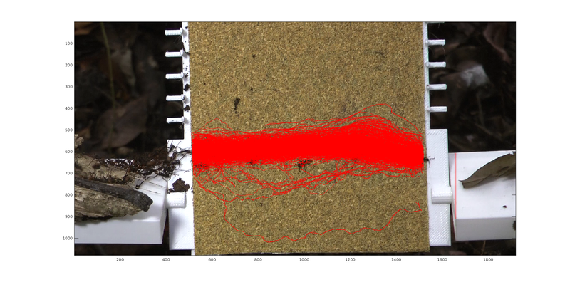 File:Trajectories Img 50.png